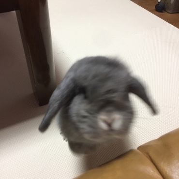の写真