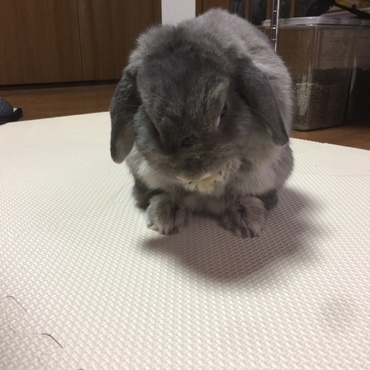 の写真