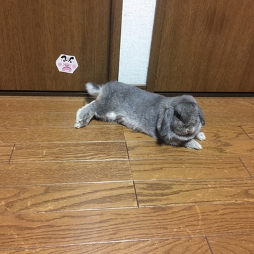 の写真