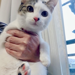 8カ月 仲良し兄妹