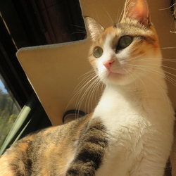 「近況」サムネイル2