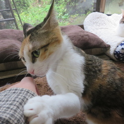 「近況」サムネイル3