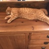 パンピキ