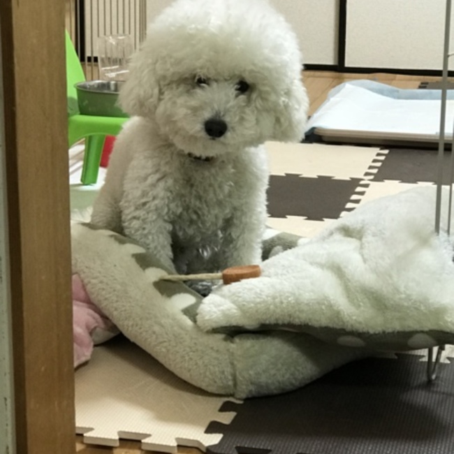 小次郎mamaのカバー写真