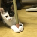 元気な２ヶ月の男の子！