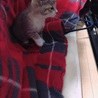 何かに夢中