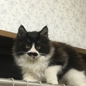 良いご縁がありました。