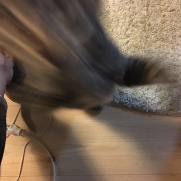 飛びかかり2