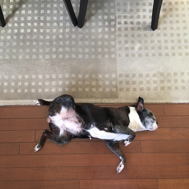 の写真