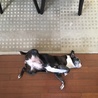 の写真