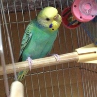 きゅん