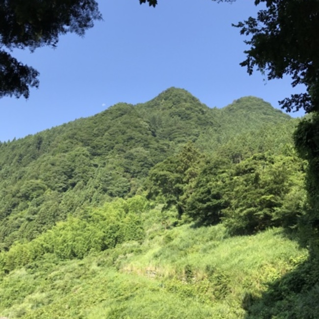 うえだーのカバー写真