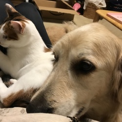 ひっつき虫2匹の休日