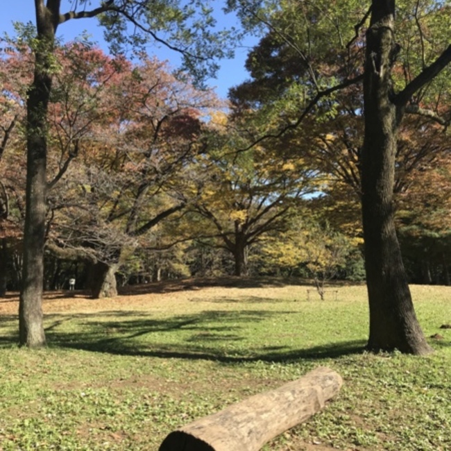 Mariina0420のカバー写真