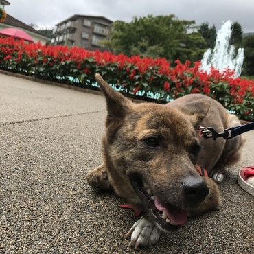 箱根旅行  公園で一休み