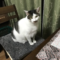 ゼリー