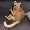 みおもも