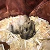  さん