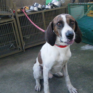 大きい甘えん坊くん