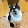 ウットリした視線でおねだりします。