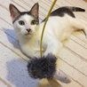 なにか聞こえたよ。