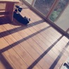 の写真