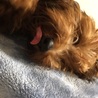 の写真