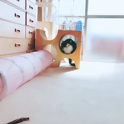 「私に目線を下さいナ（≧∇≦）」サムネイル3