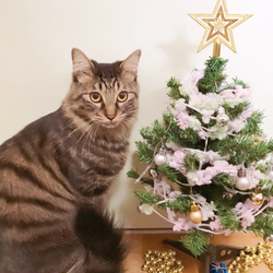 私に目線を下さいナ（≧∇≦）