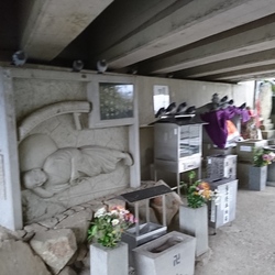 「雅(みやび)さん、家人にビビってどうすんの？」サムネイル3