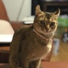 の写真