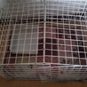 今から来てくれる猫ちゃんのために作ってみました！！大きくなるにつれ大きくしていこうと思います！！楽しみです‼