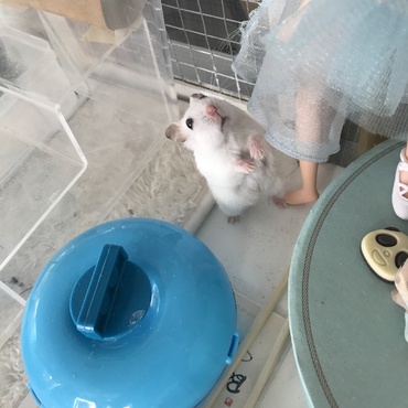 リカちゃん人形おっきいね(*^^*)