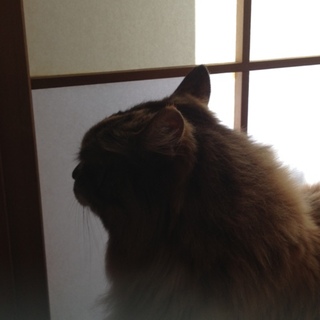 皆さまありがとうございました。