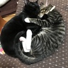 仲良し兄弟