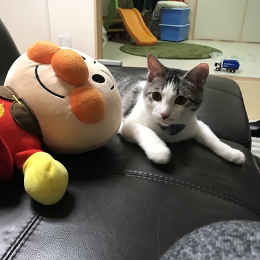 大きくなりました！