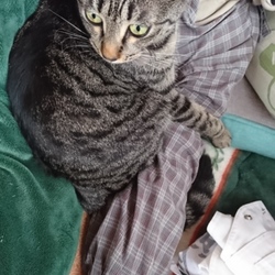 「雅(みやび)の遊び部屋リフォーム計画 その2」サムネイル2