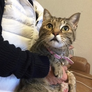 こうちゃん １０歳くらいの女の子