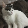 の写真
