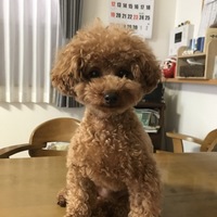 ライム