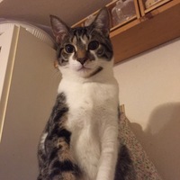まる