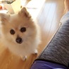 ma___buuu