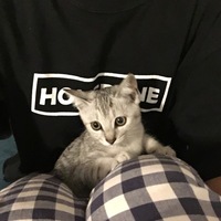 しらす