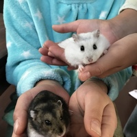 カリン&もっちゃん