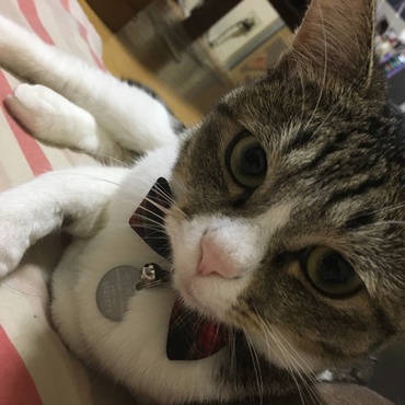 どうしたん？