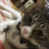 どうしたん？
