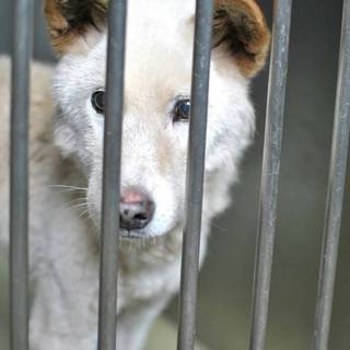 穏やかなおじいちゃんに最後のおうちを