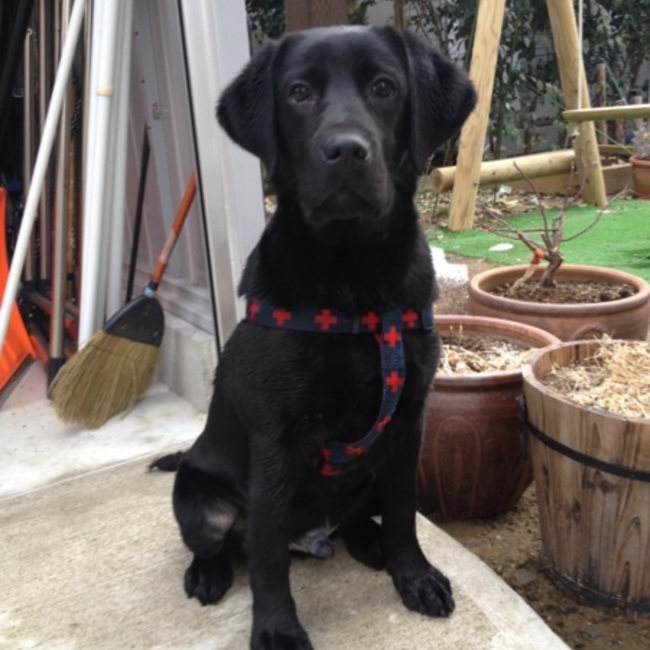 あいたかのカバー写真