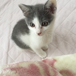ネネちゃん大きくなったよ