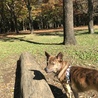 公園大好き❤︎